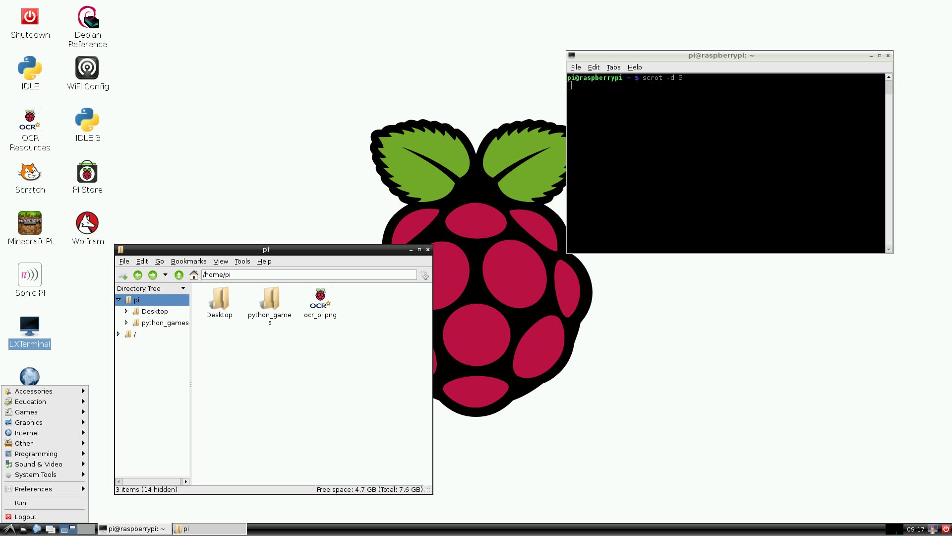 Raspberry pixel Raspberry pixel